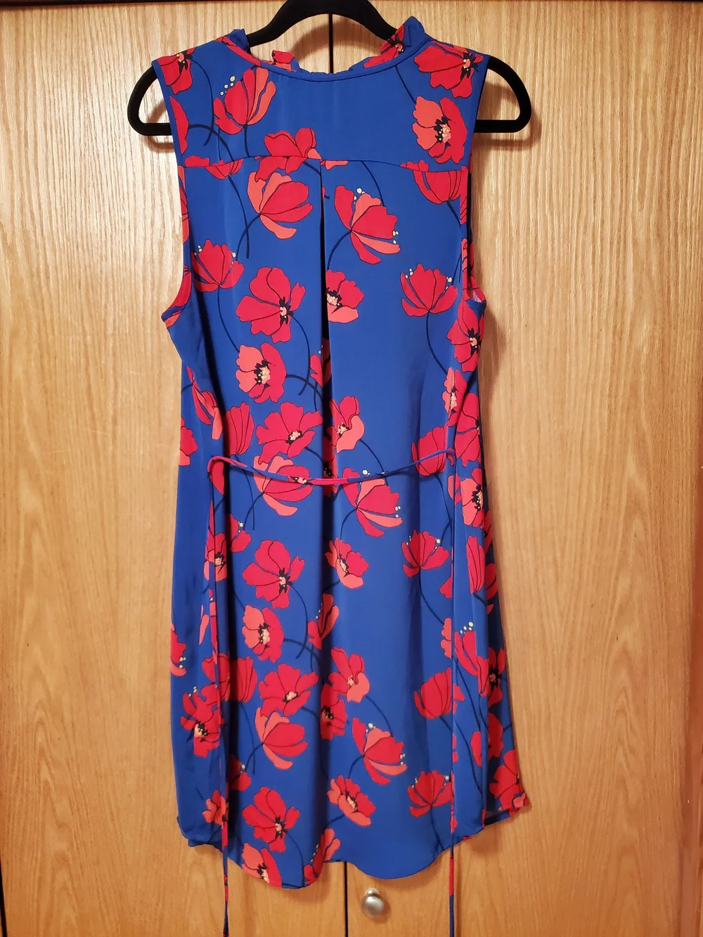 41 Hawthorn Blue Dress with Red Floral Print - Picture 4 of 9